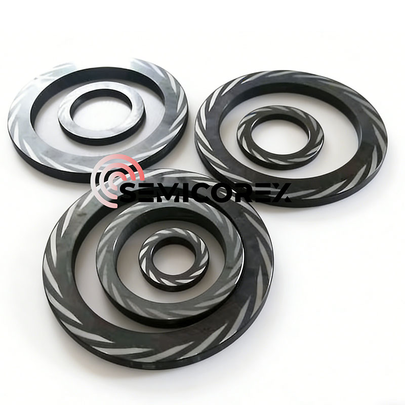 seal rings DGS